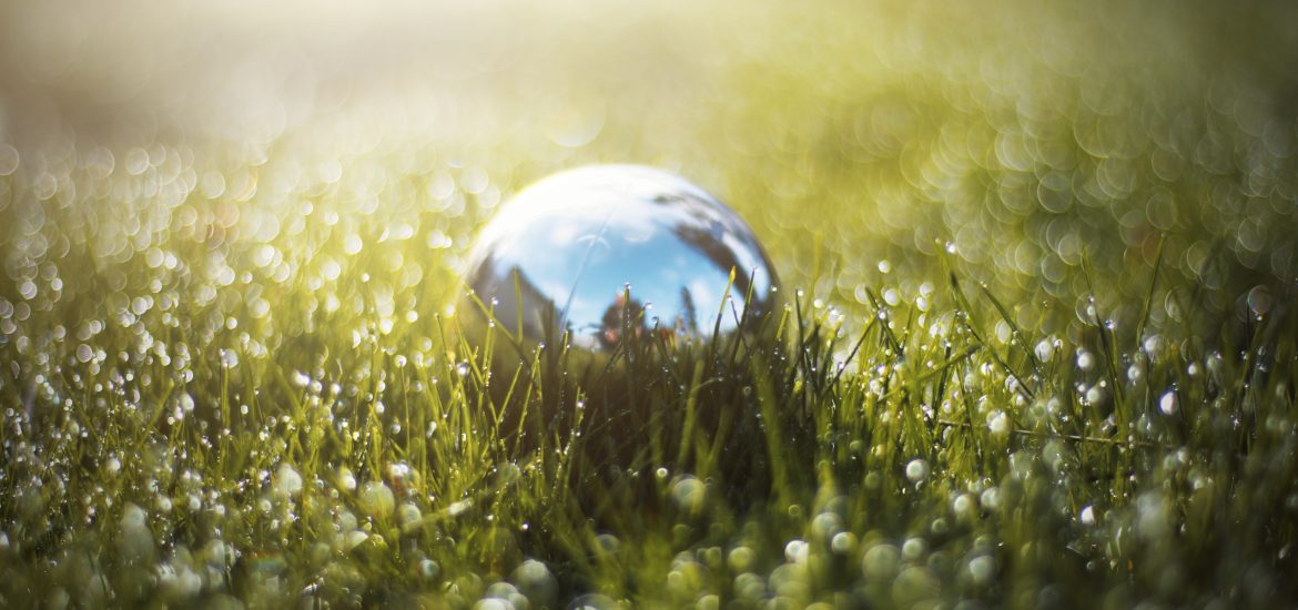 The sun creates a glistening landscape as it hits a silver ball that's nestled among dew filled blades of grass.