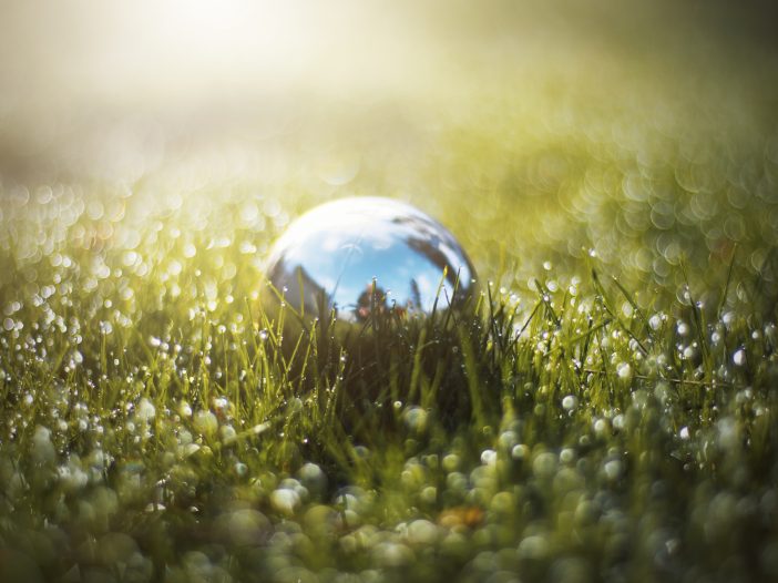 The sun creates a glistening landscape as it hits a silver ball that's nestled among dew filled blades of grass.